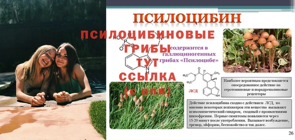 хмурый Лабытнанги